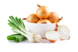 shallot onion