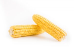 two-ears-corn-white-background